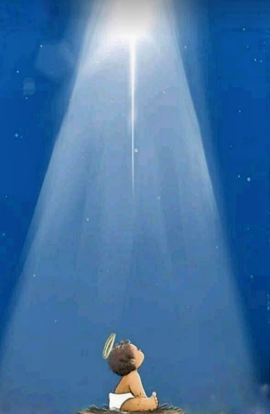 1000191255